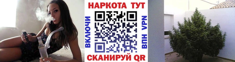 Что такое Куса ГАШИШ  МАРИХУАНА  АМФ  МЕФ 