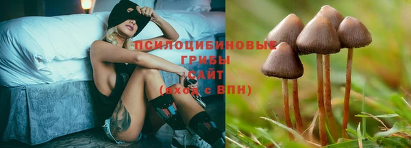 дмт Дмитриев