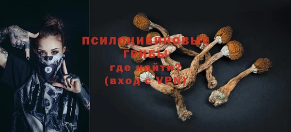 дмт Дмитриев